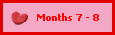 Months 7 - 8